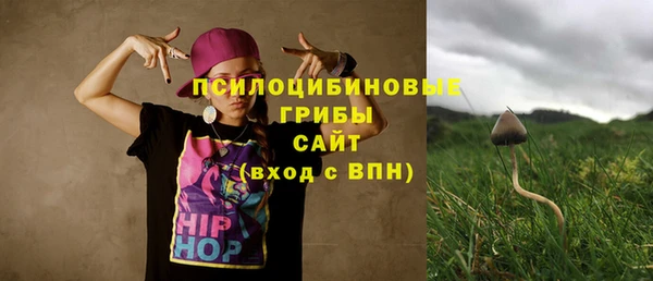 дурь Козловка