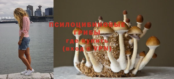 mix Козельск