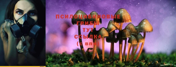 винт Киренск