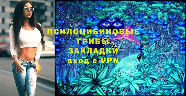 дурь Козловка