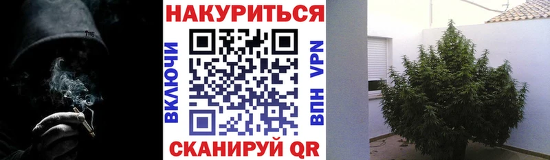 МАРИХУАНА сатива Называевск